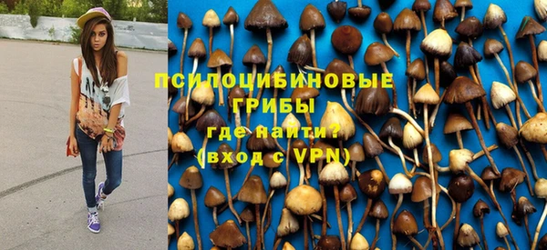 первитин Богородицк