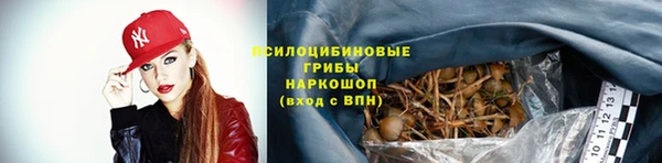 первитин Богородицк