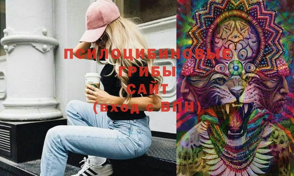 спиды Белокуриха