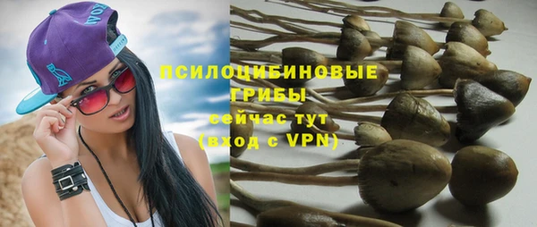первитин Богородицк