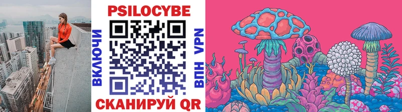 Псилоцибиновые грибы Psilocybe  купить наркотики цена  Воркута 