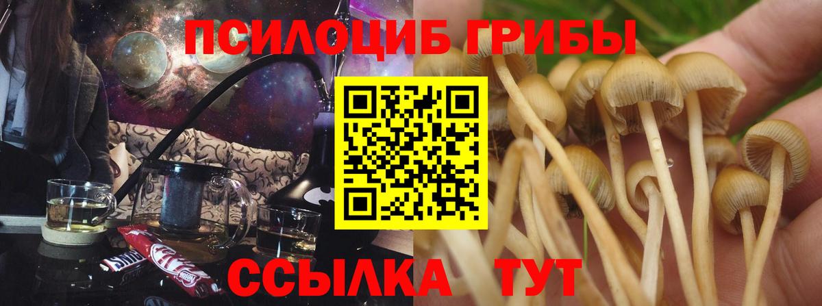 Псилоцибиновые грибы прущие грибы Воркута